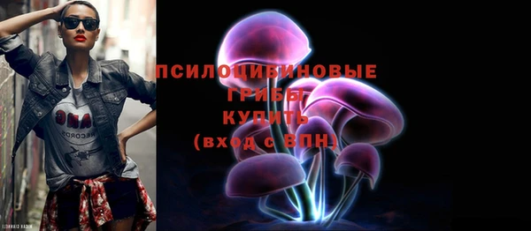 крисы Алагир