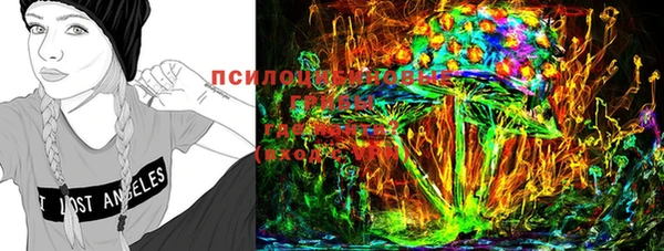 ПСИЛОЦИБИНОВЫЕ ГРИБЫ Мегион