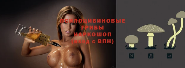 гидропоника Медногорск
