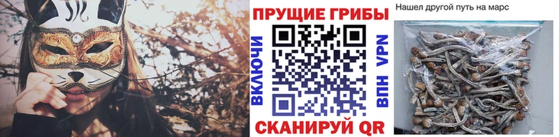 Псилоцибиновые грибы Cubensis  hydra маркетплейс  Старый Оскол 
