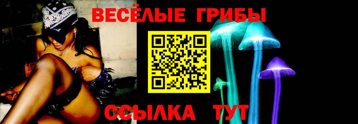 Галлюциногенные грибы мицелий Старый Оскол